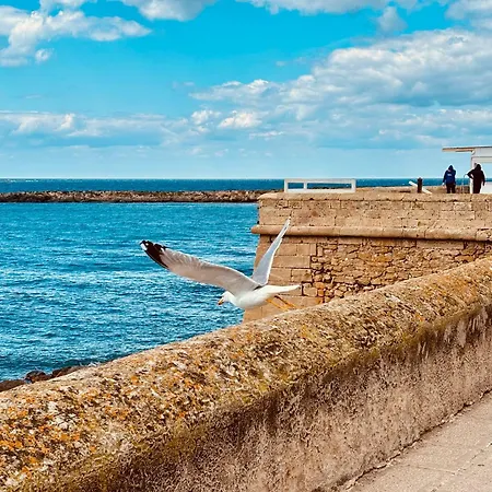 Casa vacanze Il Nido Di Circe Gallipoli